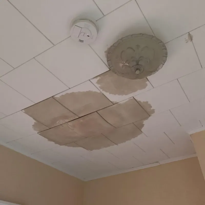 Ceiling Water Damage Repair in North Wilkesboro, NC
