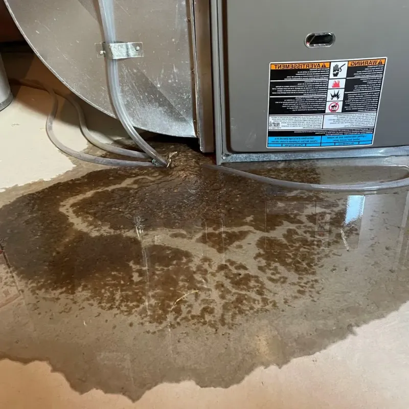 Pipe Burst and Leak Restoration in North Wilkesboro, NC