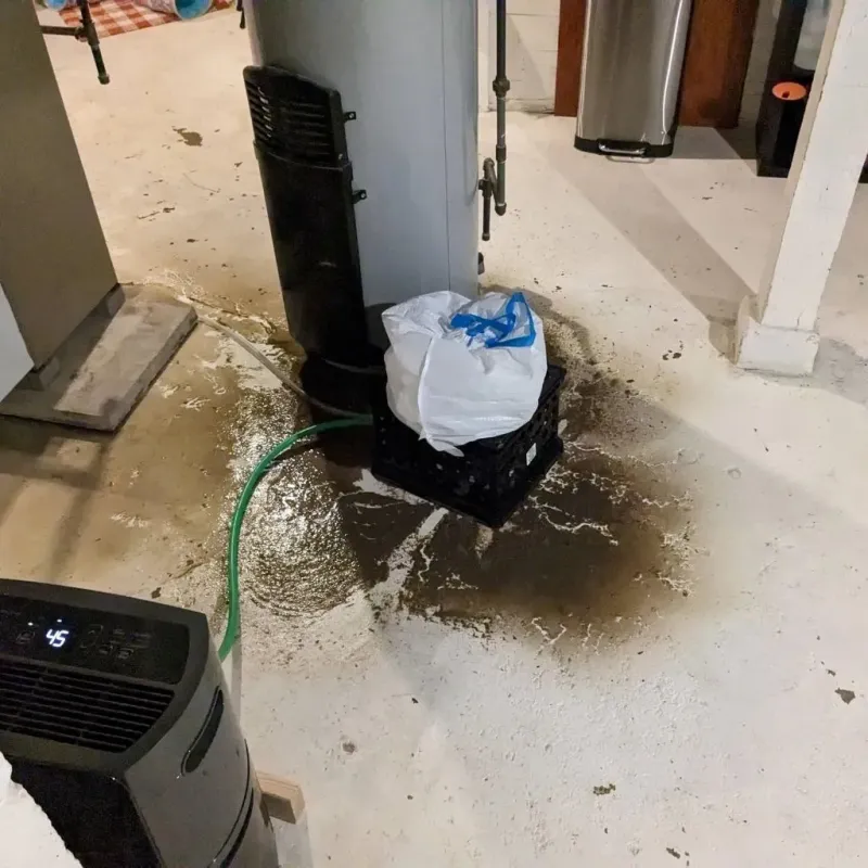 Sewage Backup Cleanup Service in North Wilkesboro, NC